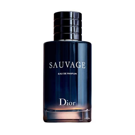 dior shirt price in pakistan|dior perfume price in pakistan.